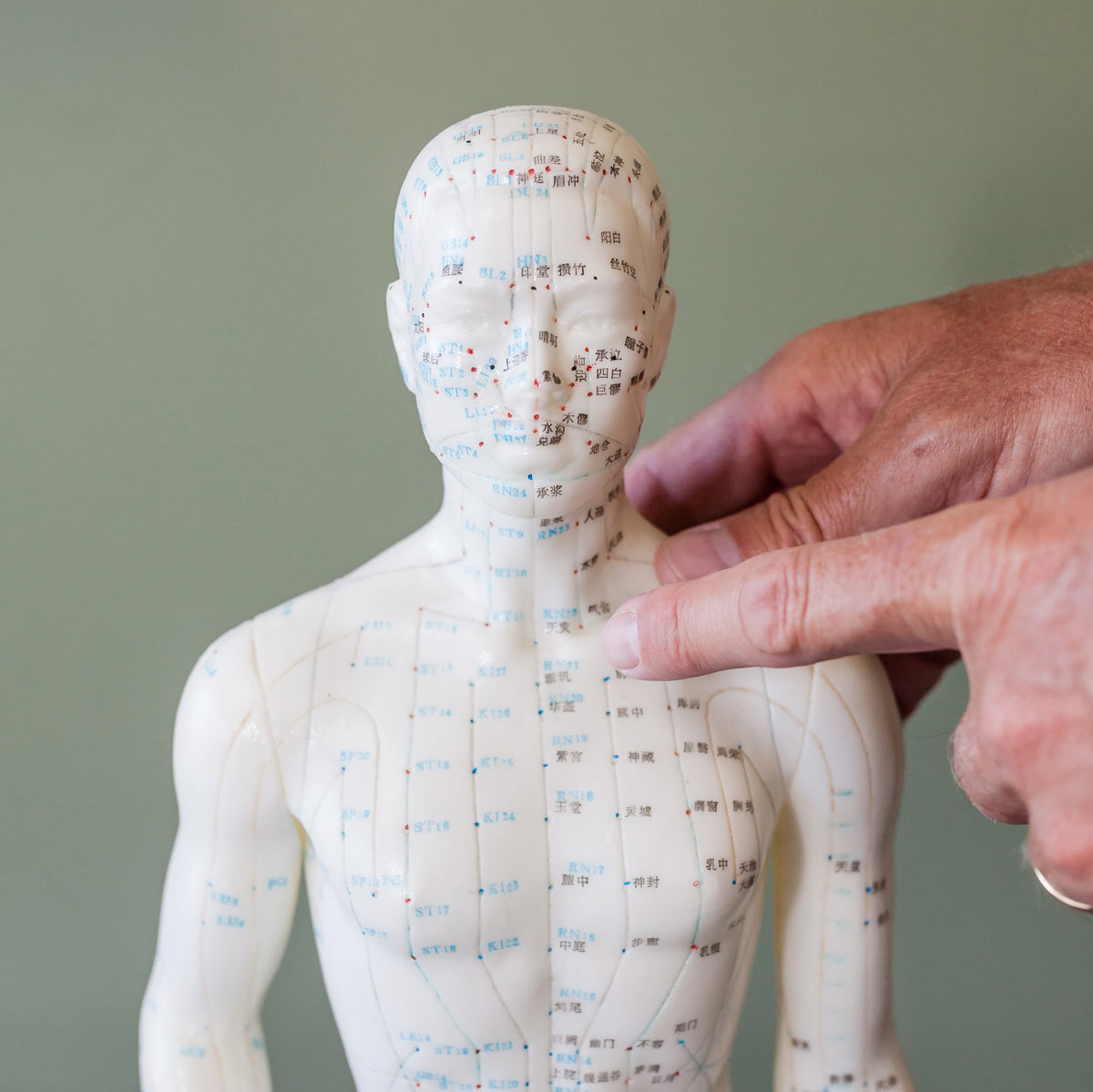 Ventura Acupuncture What To Expect Coastal Acupuncture Wellness Center